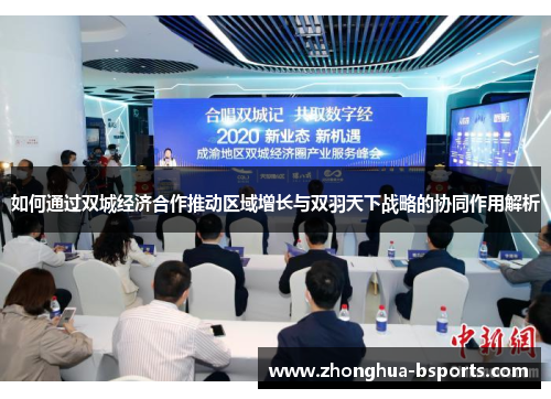 如何通过双城经济合作推动区域增长与双羽天下战略的协同作用解析