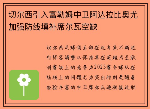 切尔西引入富勒姆中卫阿达拉比奥尤加强防线填补席尔瓦空缺 切尔西引入富勒姆中卫阿达拉比奥尤加强防线填补席尔瓦空缺